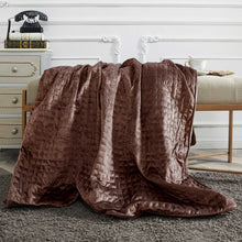 Load image into Gallery viewer, 15 lbs Microfiber Weighted Blanket with Duvet Cover